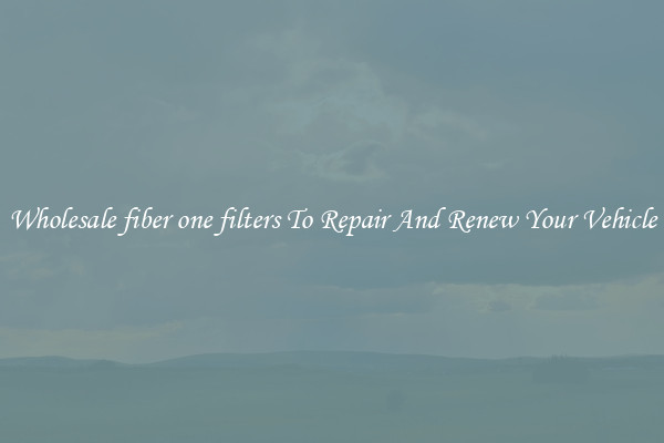 Wholesale fiber one filters To Repair And Renew Your Vehicle