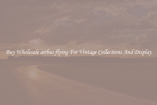 Buy Wholesale airbus flying For Vintage Collections And Display
