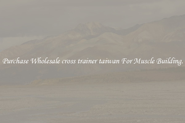 Purchase Wholesale cross trainer taiwan For Muscle Building.