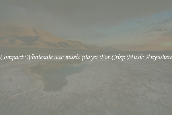 Compact Wholesale aac music player For Crisp Music Anywhere