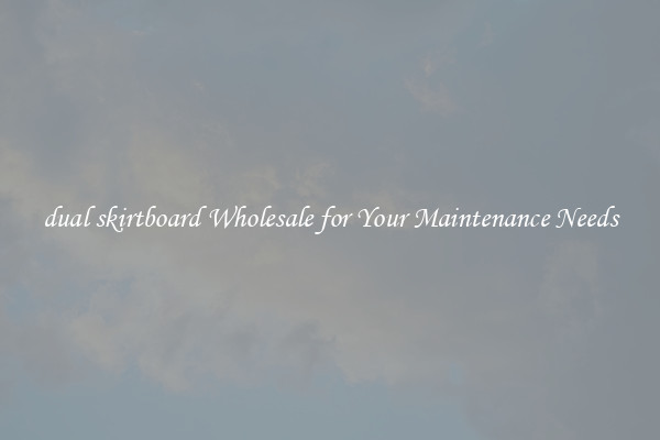 dual skirtboard Wholesale for Your Maintenance Needs
