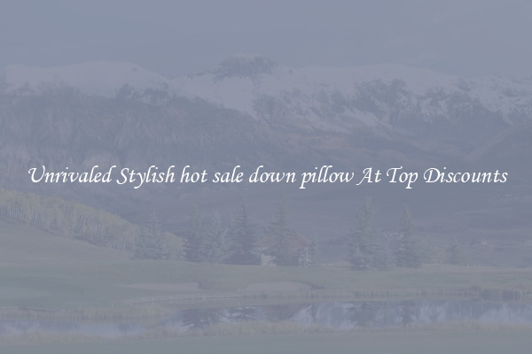 Unrivaled Stylish hot sale down pillow At Top Discounts