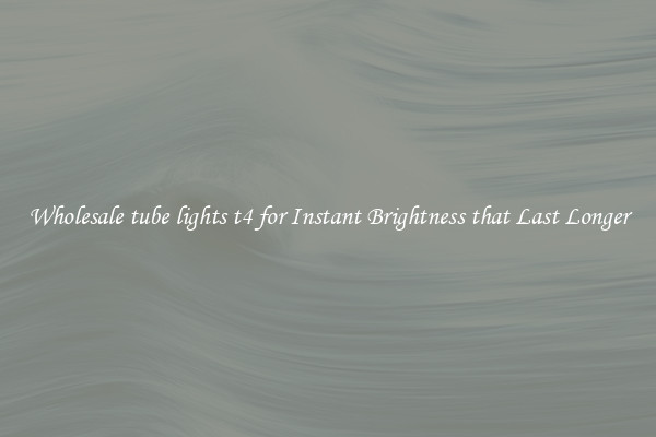 Wholesale tube lights t4 for Instant Brightness that Last Longer