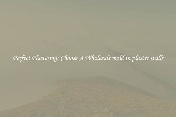  Perfect Plastering: Choose A Wholesale mold in plaster walls 
