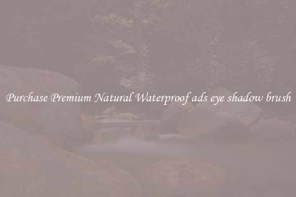 Purchase Premium Natural Waterproof ads eye shadow brush