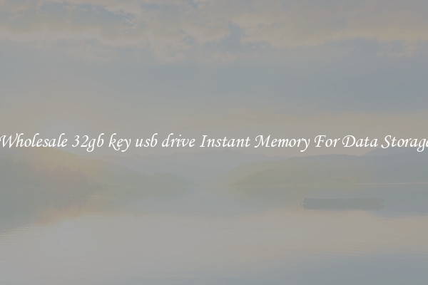 Wholesale 32gb key usb drive Instant Memory For Data Storage