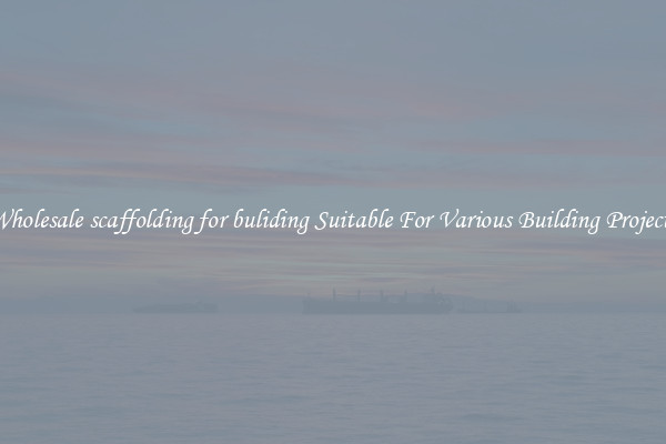 Wholesale scaffolding for buliding Suitable For Various Building Projects