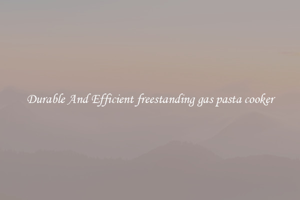 Durable And Efficient freestanding gas pasta cooker