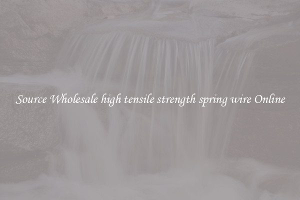 Source Wholesale high tensile strength spring wire Online
