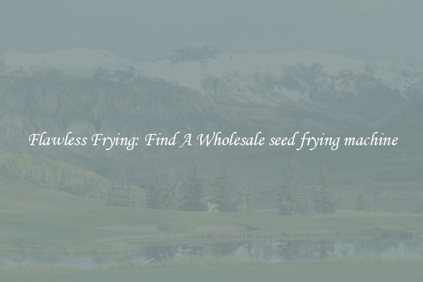Flawless Frying: Find A Wholesale seed frying machine