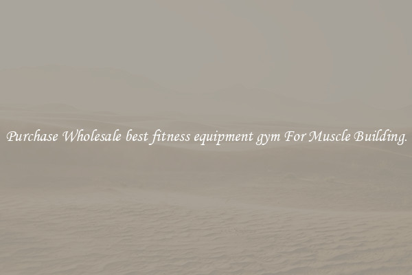 Purchase Wholesale best fitness equipment gym For Muscle Building.