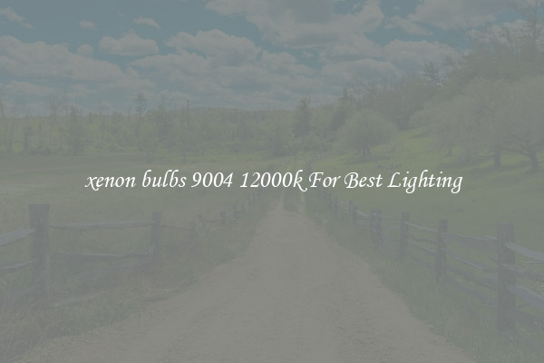 xenon bulbs 9004 12000k For Best Lighting