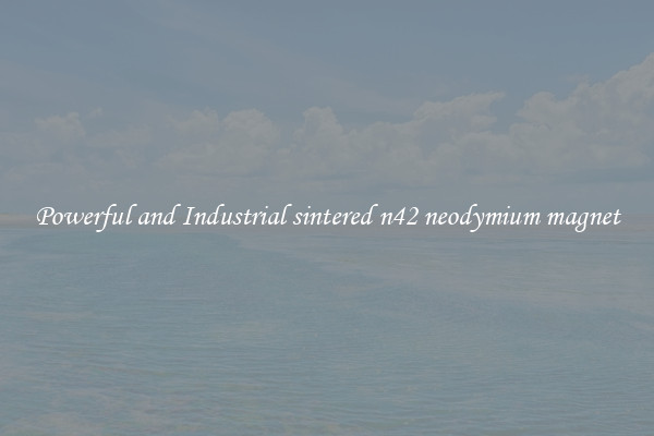 Powerful and Industrial sintered n42 neodymium magnet