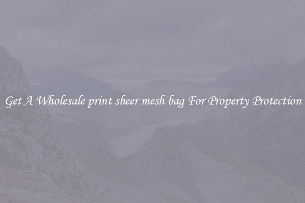 Get A Wholesale print sheer mesh bag For Property Protection