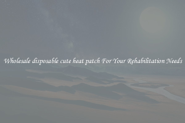 Wholesale disposable cute heat patch For Your Rehabilitation Needs