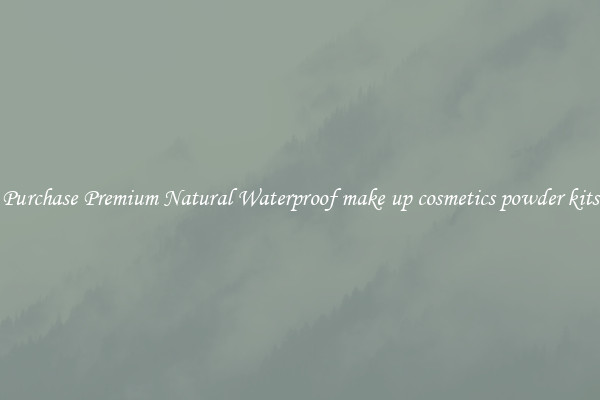 Purchase Premium Natural Waterproof make up cosmetics powder kits