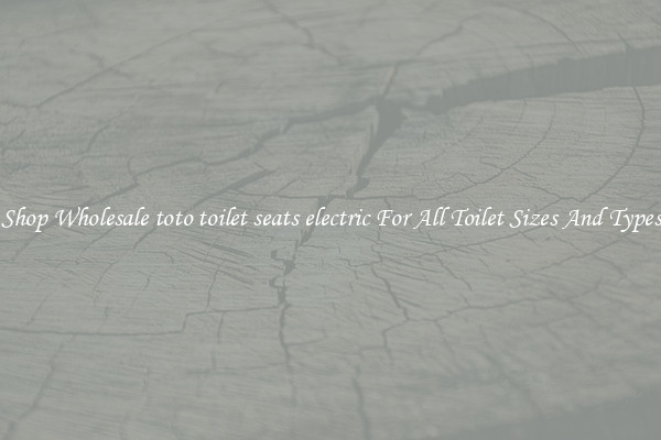 Shop Wholesale toto toilet seats electric For All Toilet Sizes And Types