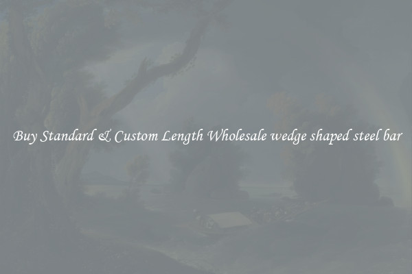 Buy Standard & Custom Length Wholesale wedge shaped steel bar