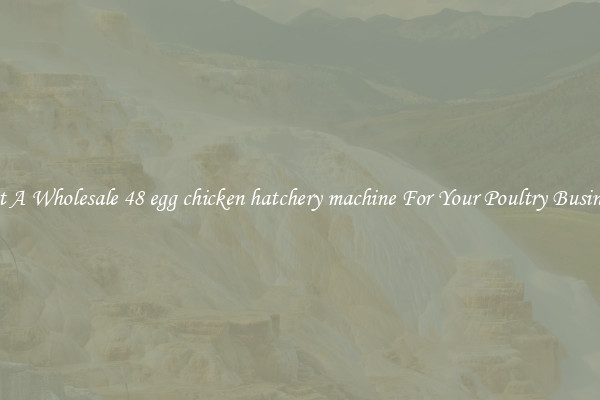Get A Wholesale 48 egg chicken hatchery machine For Your Poultry Business