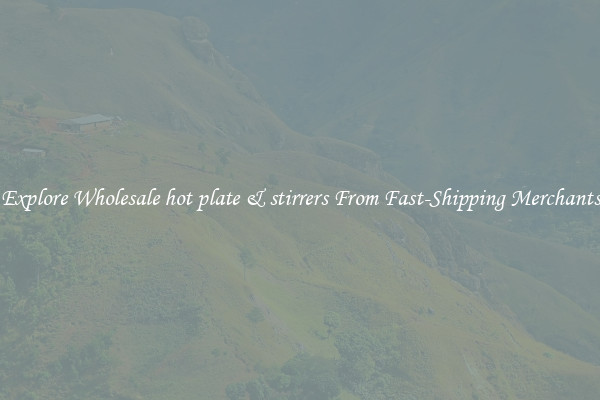 Explore Wholesale hot plate & stirrers From Fast-Shipping Merchants