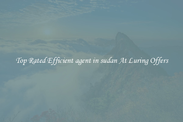 Top Rated Efficient agent in sudan At Luring Offers