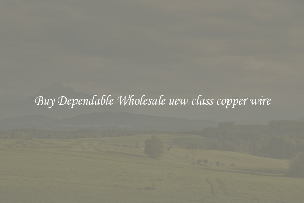 Buy Dependable Wholesale uew class copper wire