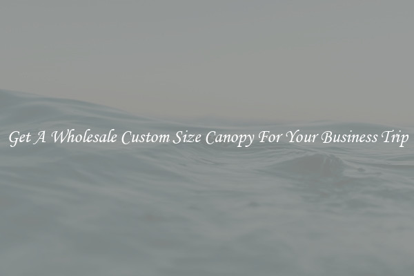 Get A Wholesale Custom Size Canopy For Your Business Trip